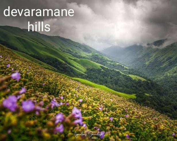 Halase Homestay Mudigere Exteriér fotografie